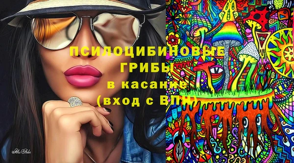 COCAINE Каменка