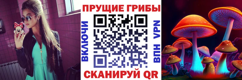 Купить где  Плавск  Галлюциногенные грибы ЛСД 